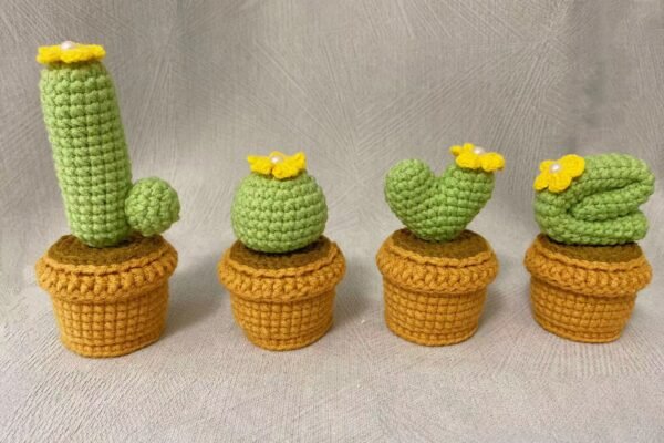 Woolen Crocheted "LOVE" Cactus Kit in Pot