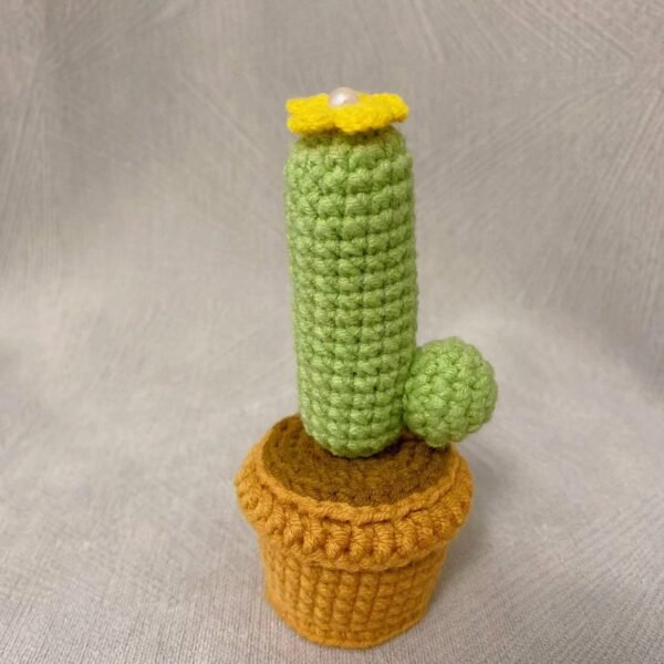 Woolen Crocheted "LOVE" Cactus Kit in Pot