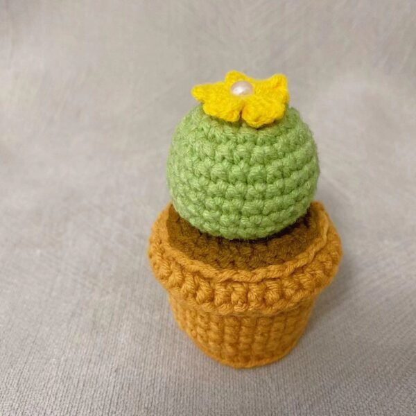 Woolen Crocheted "LOVE" Cactus Kit in Pot