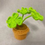 Woolen Crocheted Clover in Pot