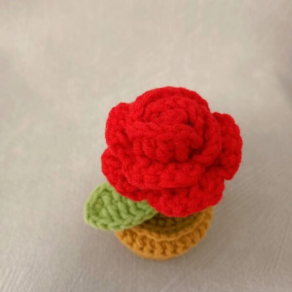 Woolen Crocheted Little Rose Flower in Pot