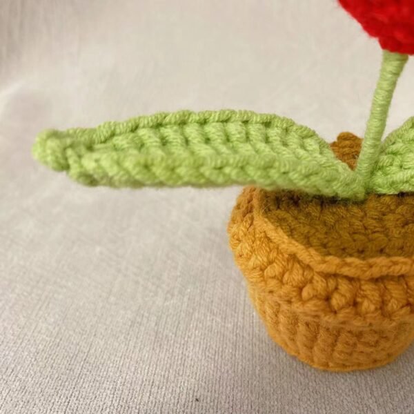 Woolen Crocheted Heart in Pot